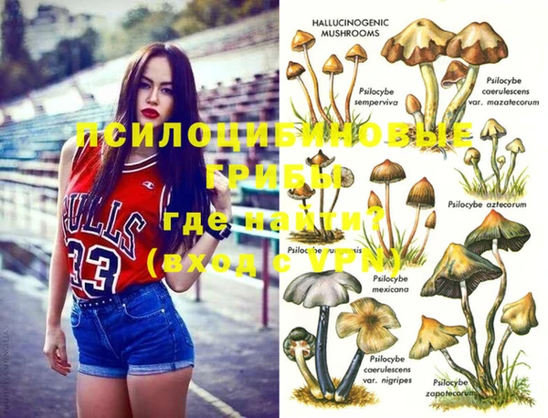 дурь Вязьма