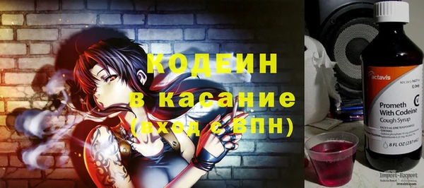 шишки Вуктыл